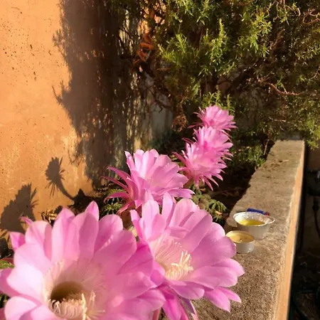Le Viste Su Ortano Appartement