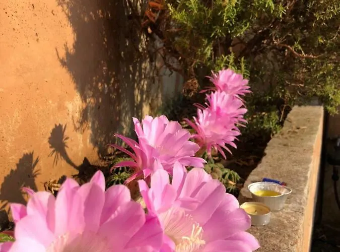 Le Viste Su Ortano Appartamento